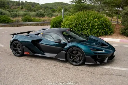 McLaren W1 MSO Serpentine (5)